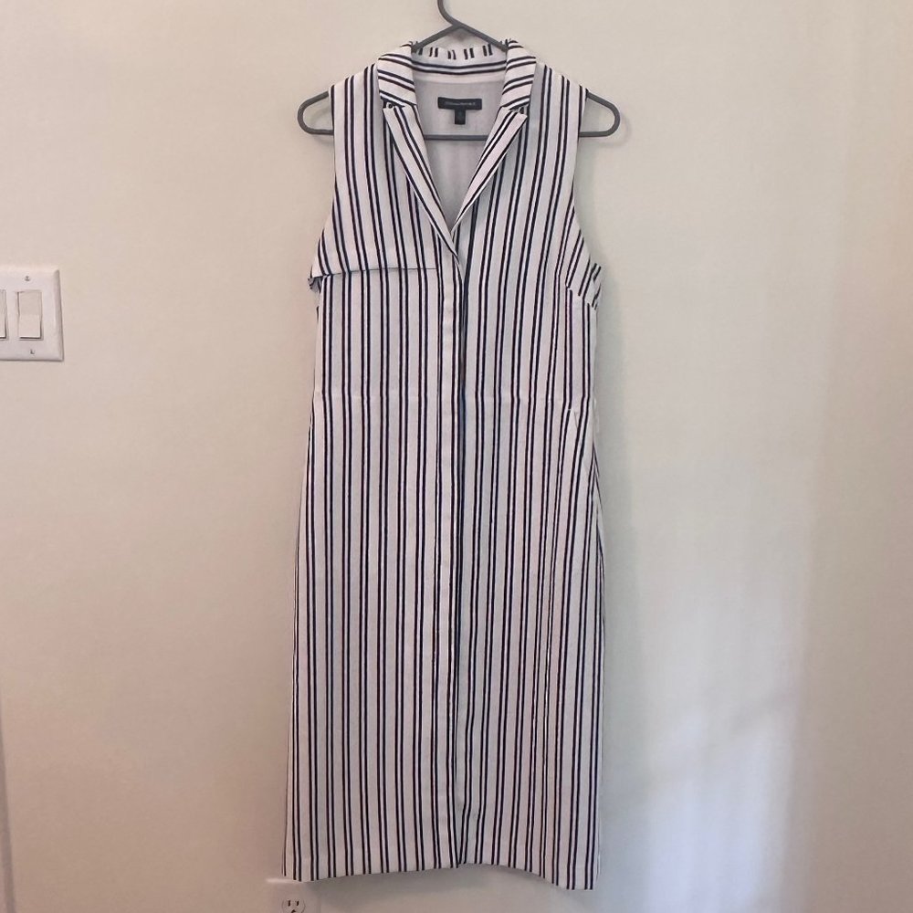 Banana Republic Black and White stripe dress